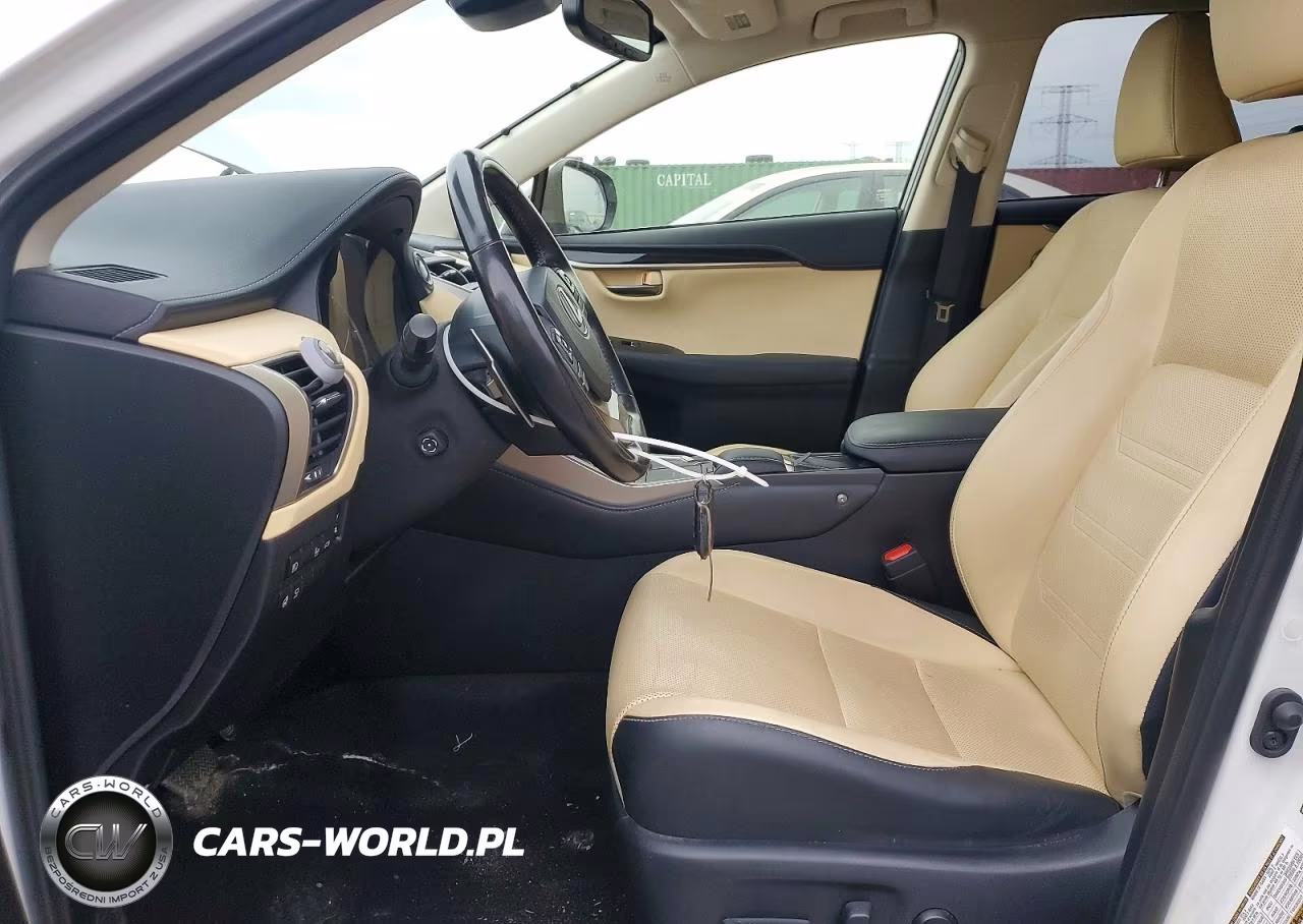 2020 Lexus Nx 300H Luxury VIN:JTJHJRDZ6L5009920 - 7