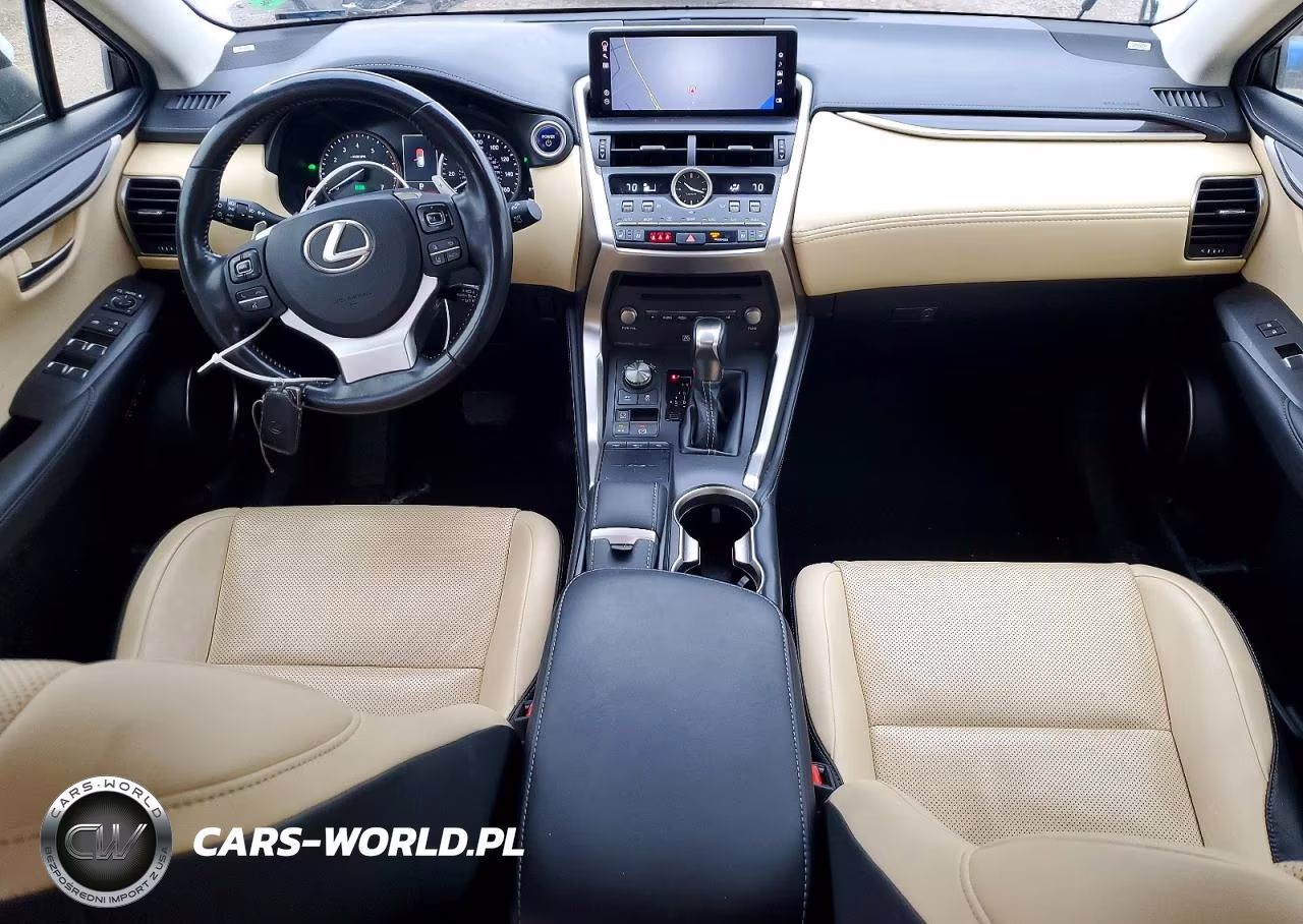 2020 Lexus Nx 300H Luxury VIN:JTJHJRDZ6L5009920 - 8