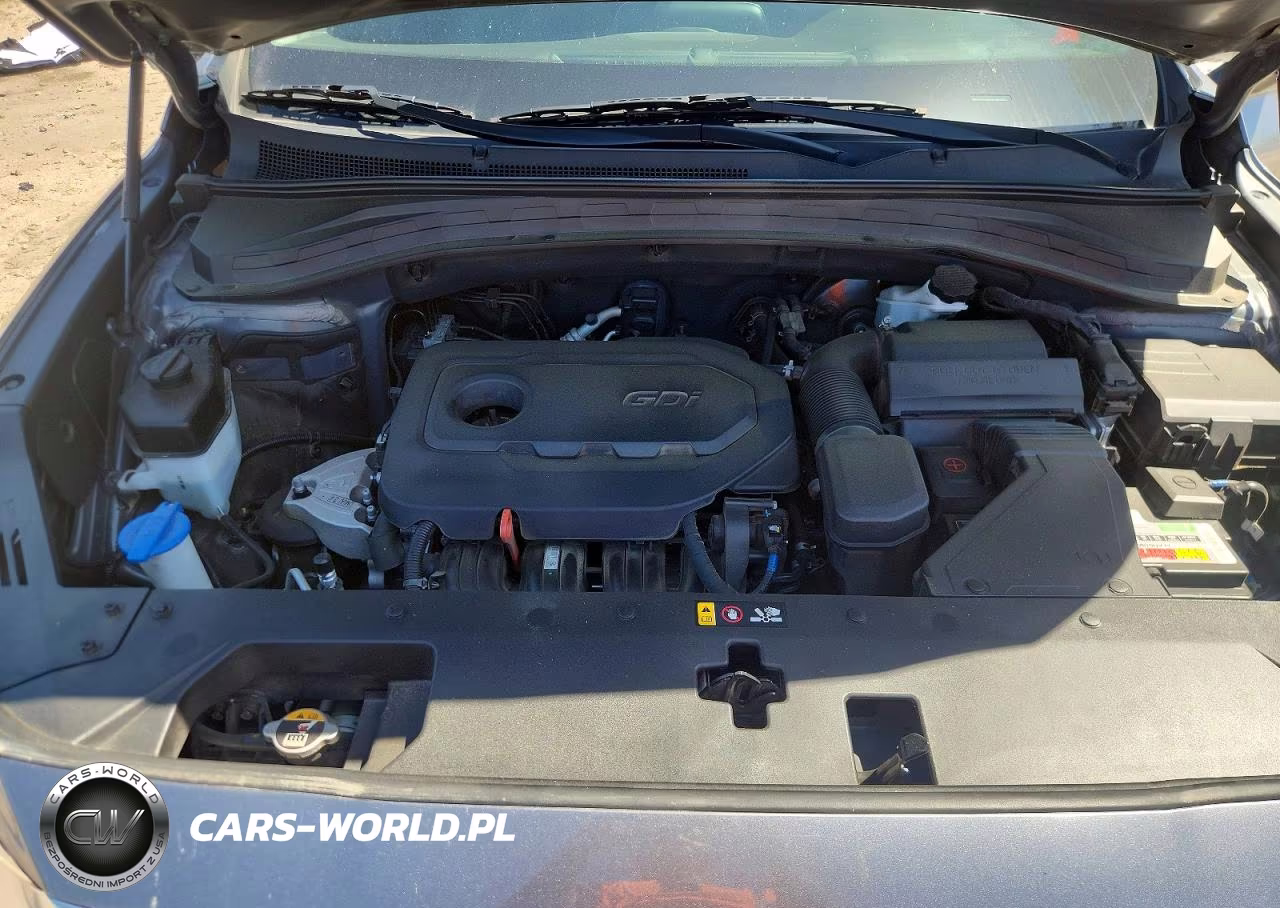 2019 Hyundai Santa Fe Sel 2.4L VIN:5NMS33AD3KH087804 - 12