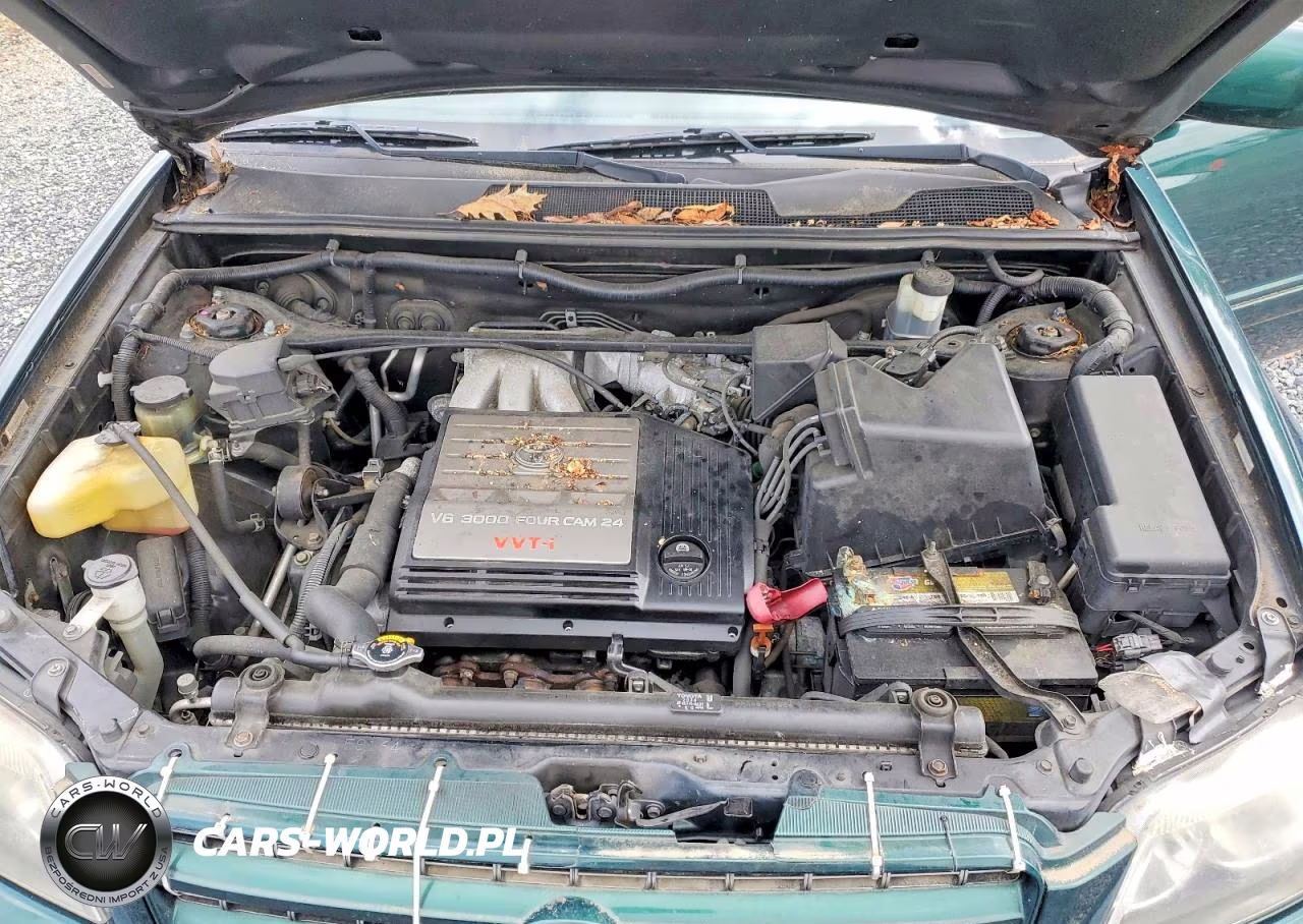 2001 Toyt Highlander VIN:JTEHF21A310030272 - 12