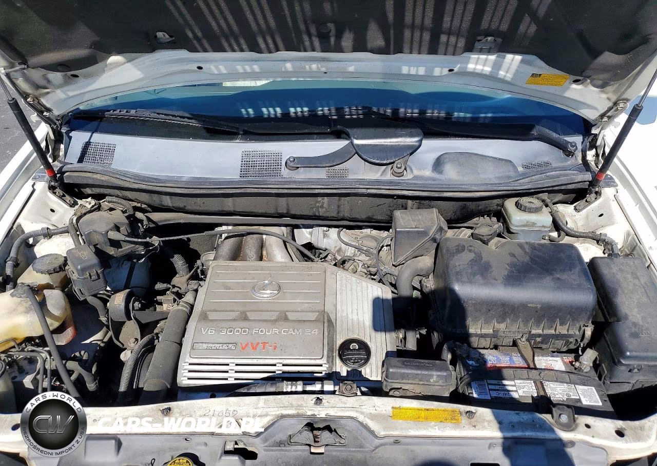 2003 Lexus Rx 300 VIN:JTJHF10U330305553 - 12