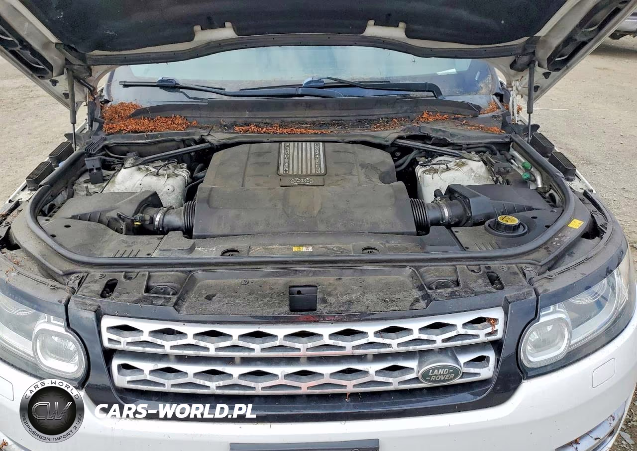 2015 Land Rover Range Rover Sport Hse VIN:SALWR2VF7FA522807 - 12