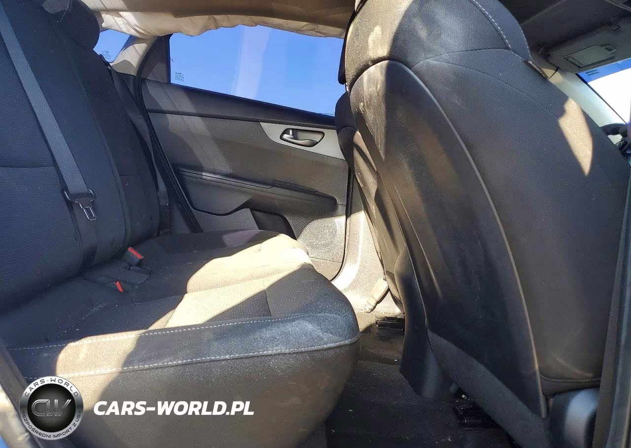 2019 Kia Forte Lxs VIN:3KPF24AD1KE137956 - 10