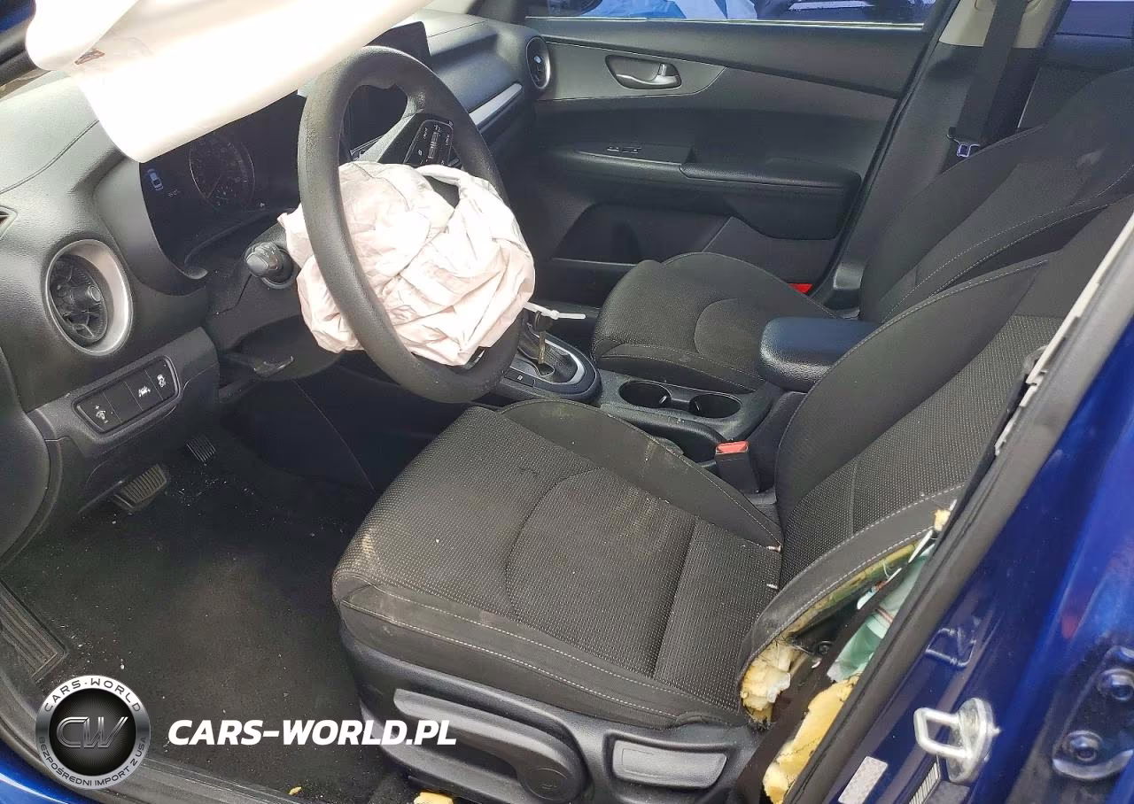 2019 Kia Forte Lxs VIN:3KPF24AD1KE137956 - 7