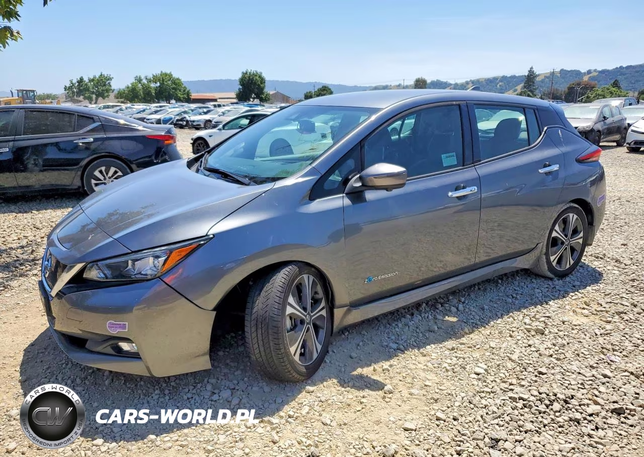 2019 Nissan Leaf Sl
