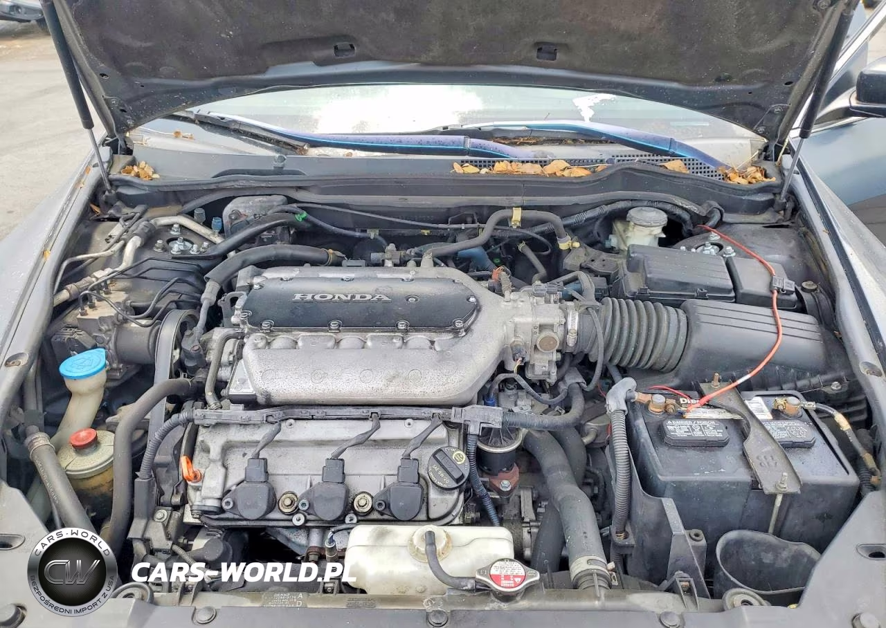 2006 Honda Accord Lx VIN:1HGCM66386A020233 - 11