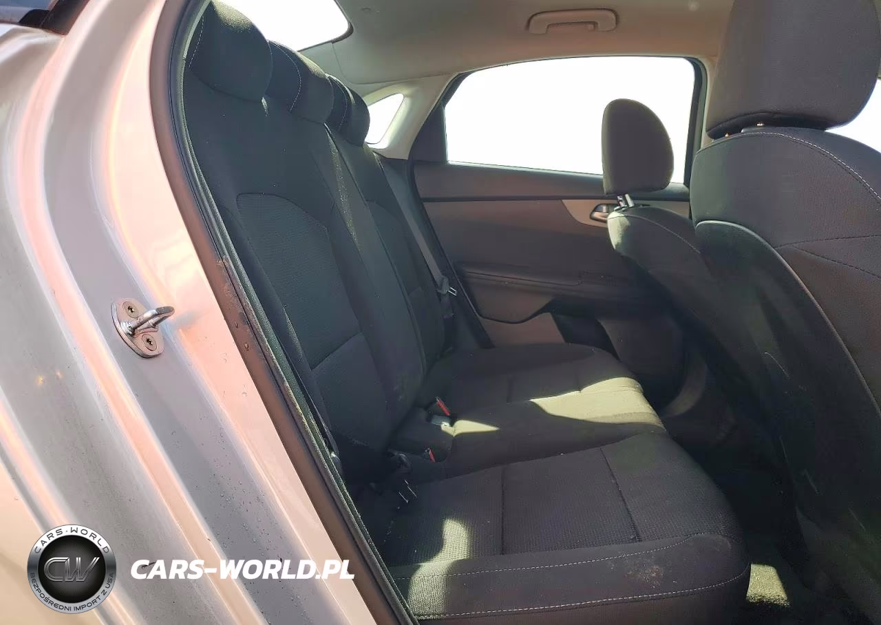 2019 Kia Forte Lxs VIN:3KPF24ADXKE060973 - 10