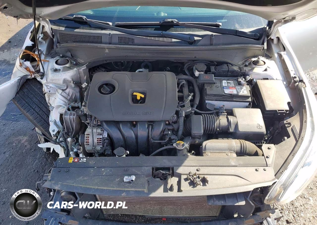 2019 Kia Forte Lxs VIN:3KPF24ADXKE060973 - 11