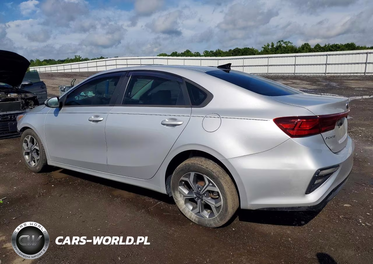 2019 Kia Forte Lxs VIN:3KPF24ADXKE060973 - 2