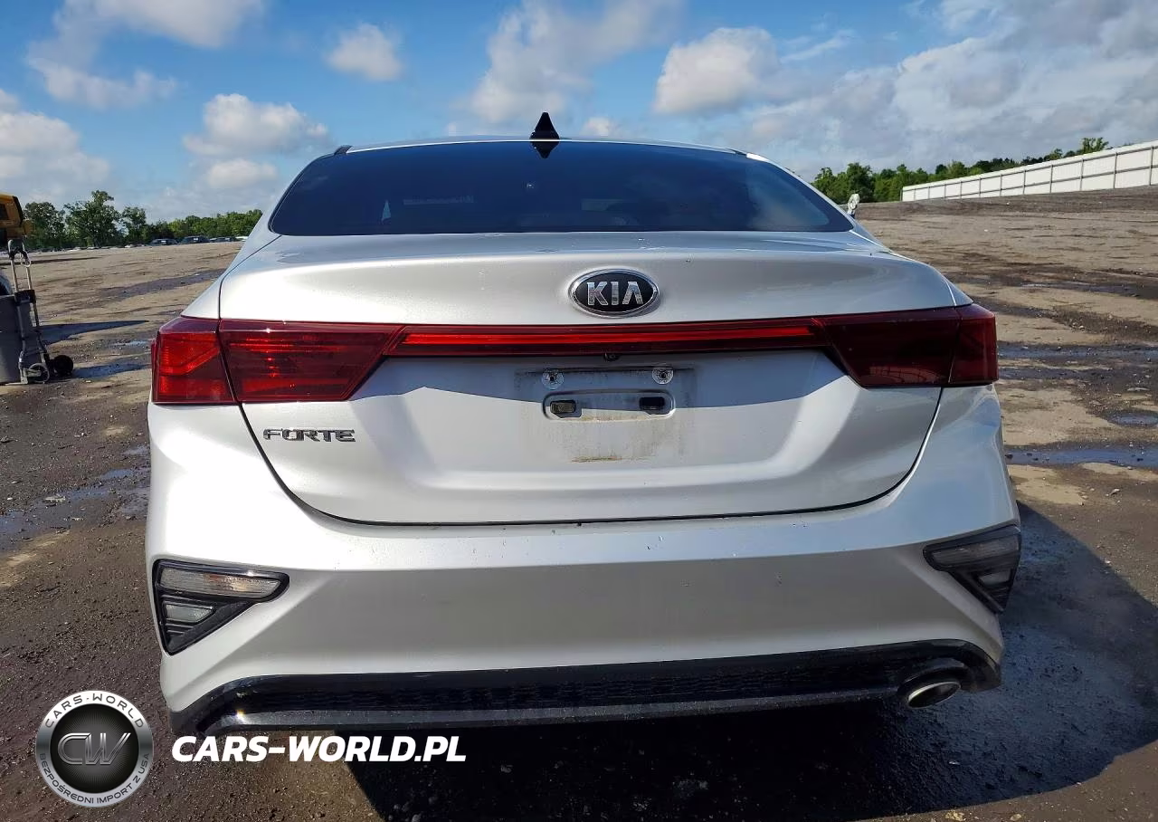 2019 Kia Forte Lxs VIN:3KPF24ADXKE060973 - 6