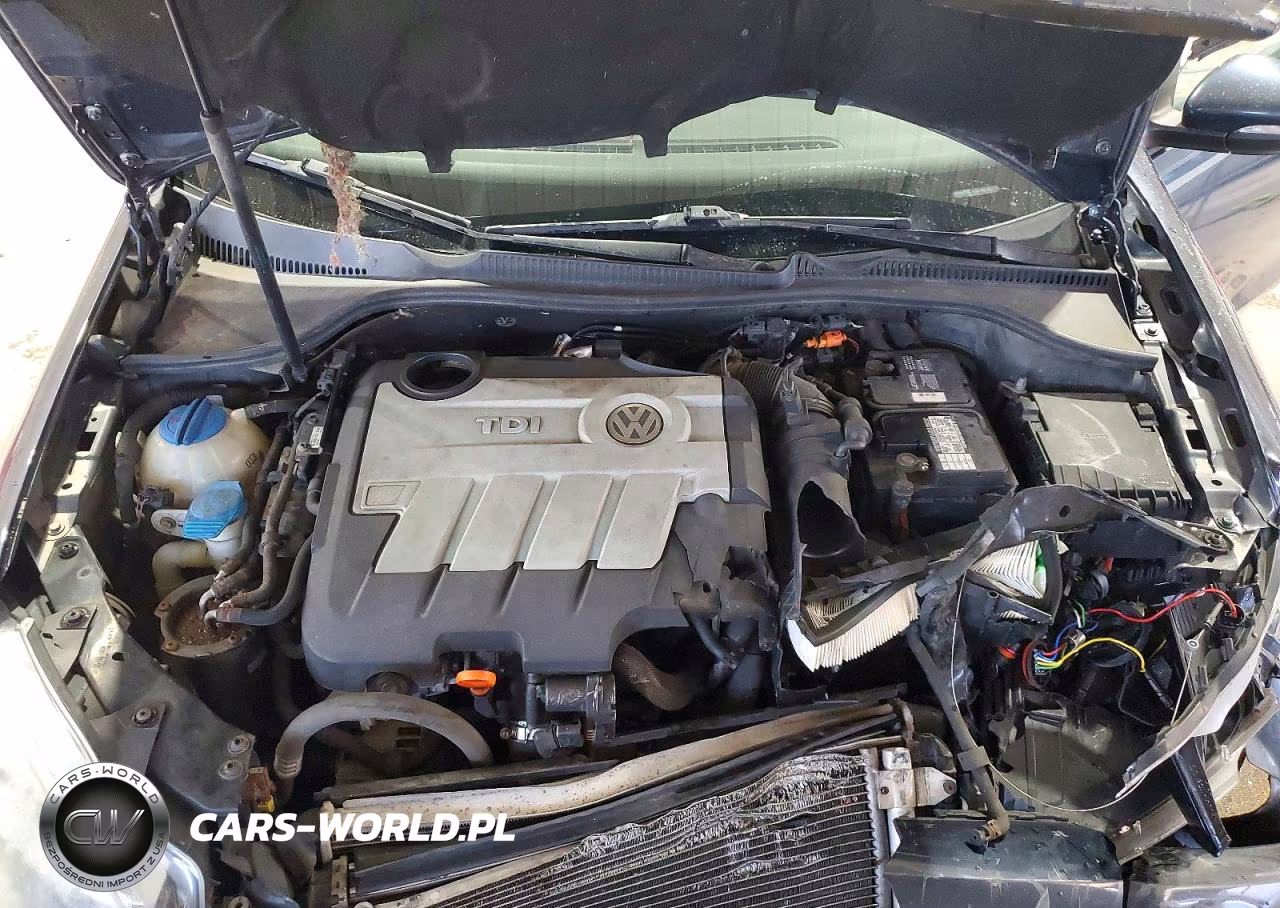 2012 Volkswagen Golf VIN:WVWMM7AJ0CW183052 - 11