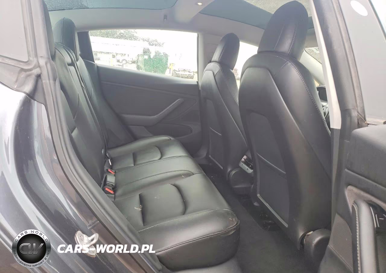 2019 Tesla Model 3 VIN:5YJ3E1EA5KF317119 - 10