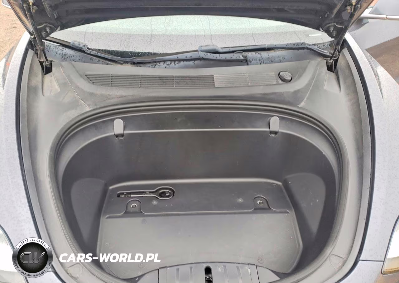 2019 Tesla Model 3 VIN:5YJ3E1EA5KF317119 - 11