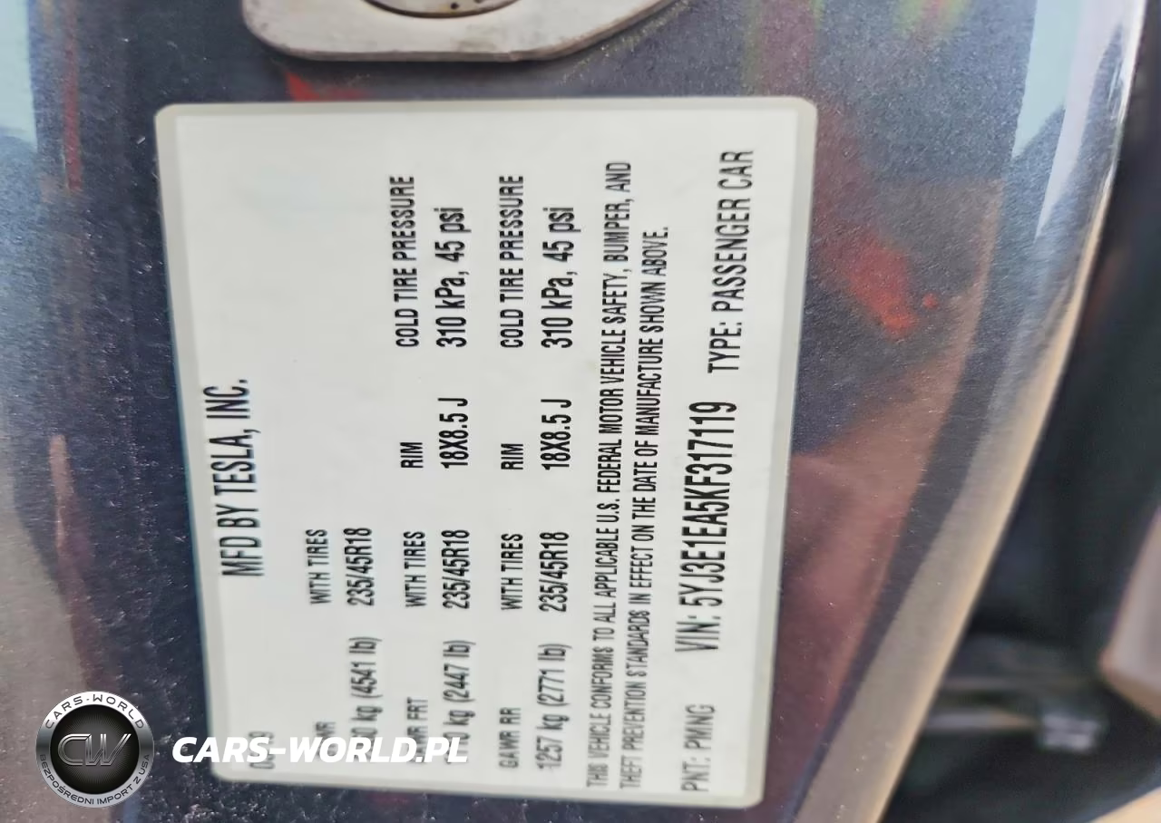 2019 Tesla Model 3 VIN:5YJ3E1EA5KF317119 - 12