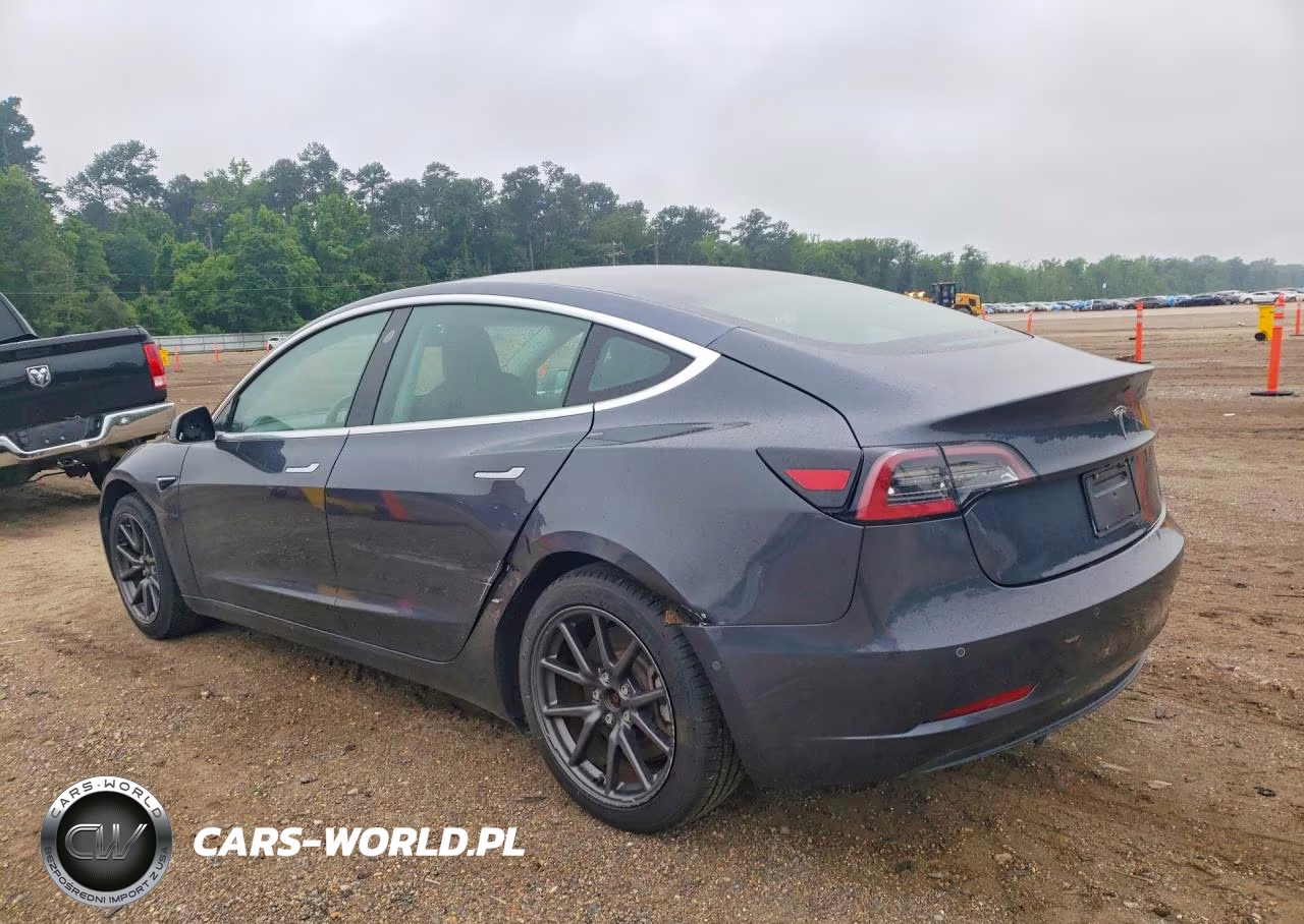 2019 Tesla Model 3 VIN:5YJ3E1EA5KF317119 - 2