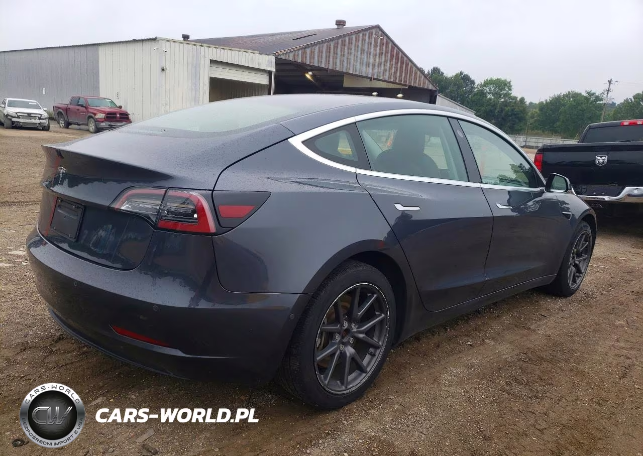 2019 Tesla Model 3 VIN:5YJ3E1EA5KF317119 - 3