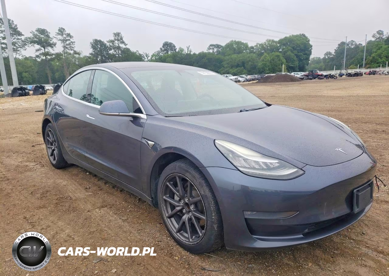 2019 Tesla Model 3 VIN:5YJ3E1EA5KF317119 - 4