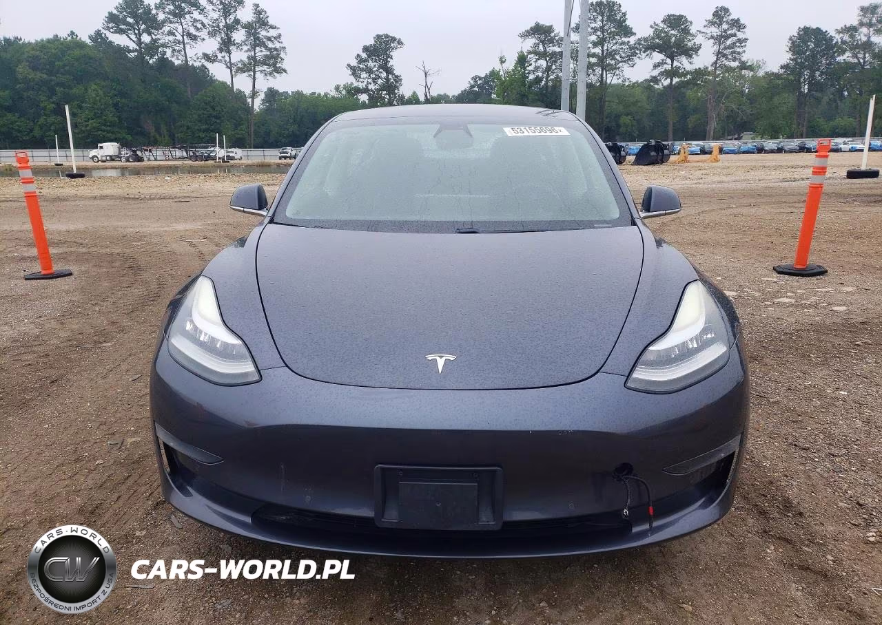 2019 Tesla Model 3 VIN:5YJ3E1EA5KF317119 - 5