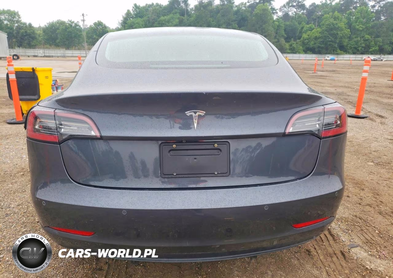 2019 Tesla Model 3 VIN:5YJ3E1EA5KF317119 - 6