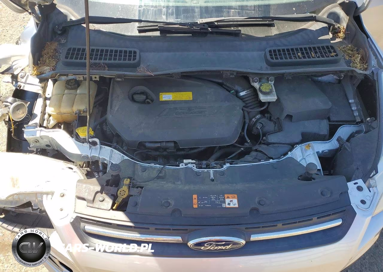 2016 Ford Escape Se VIN:1FMCU9GX0GUA40487 - 12