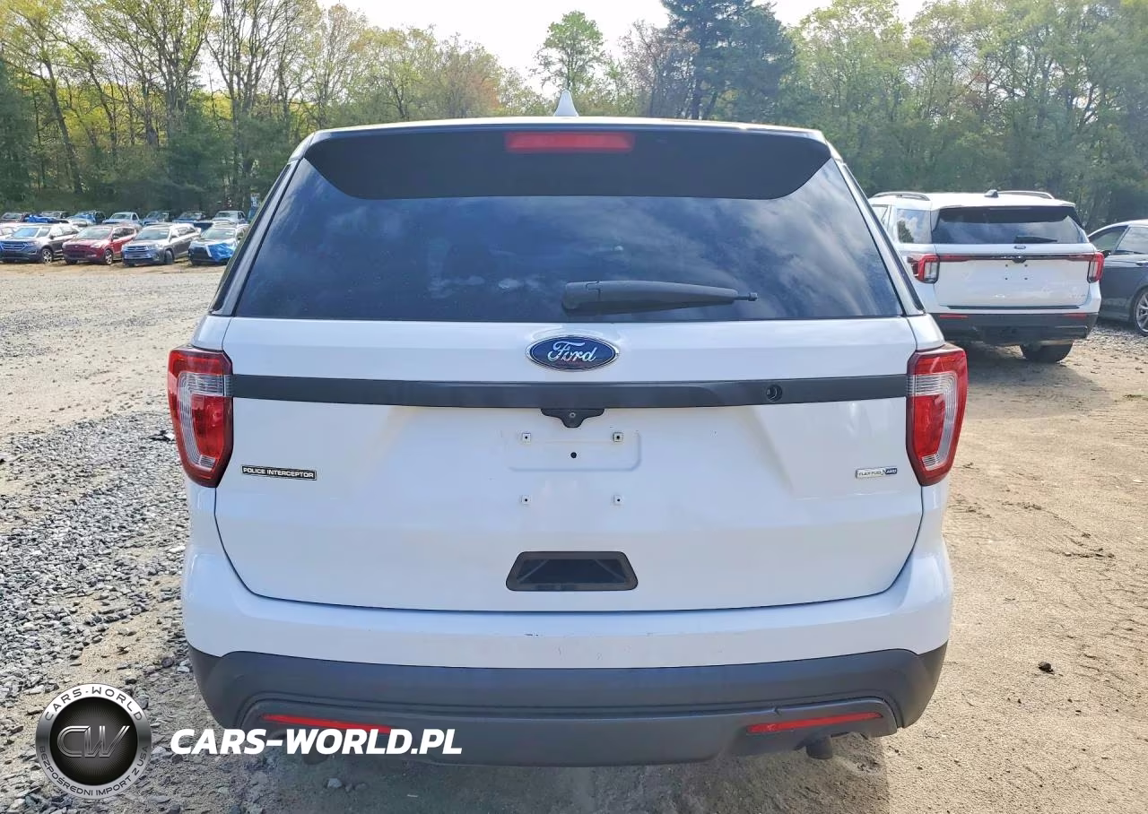 2016 Ford Explorer Police Interceptor VIN:1FM5K8AR1GGD30237 - 6