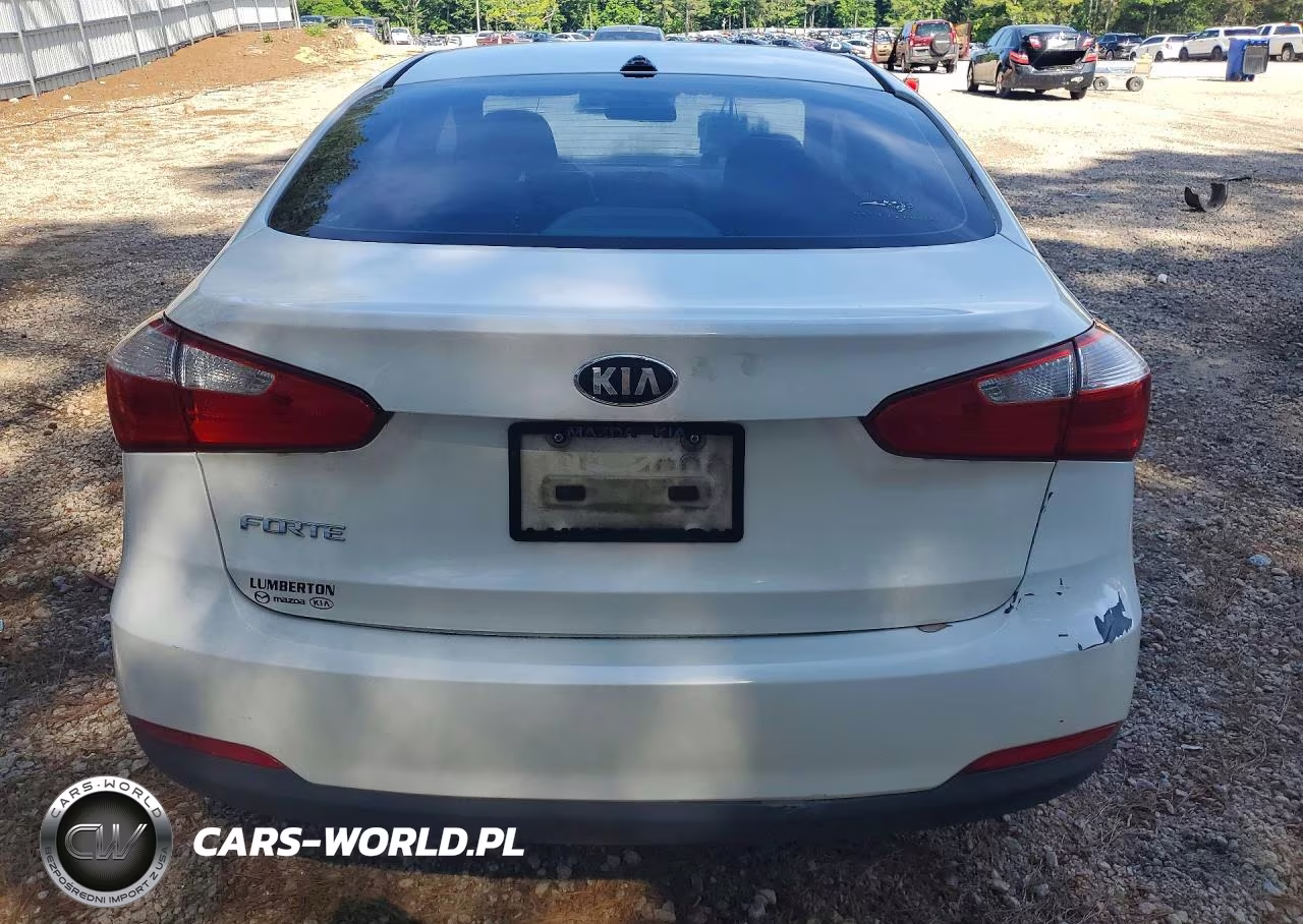 2014 Kia Forte Lx VIN:KNAFX4A61E5200912 - 6