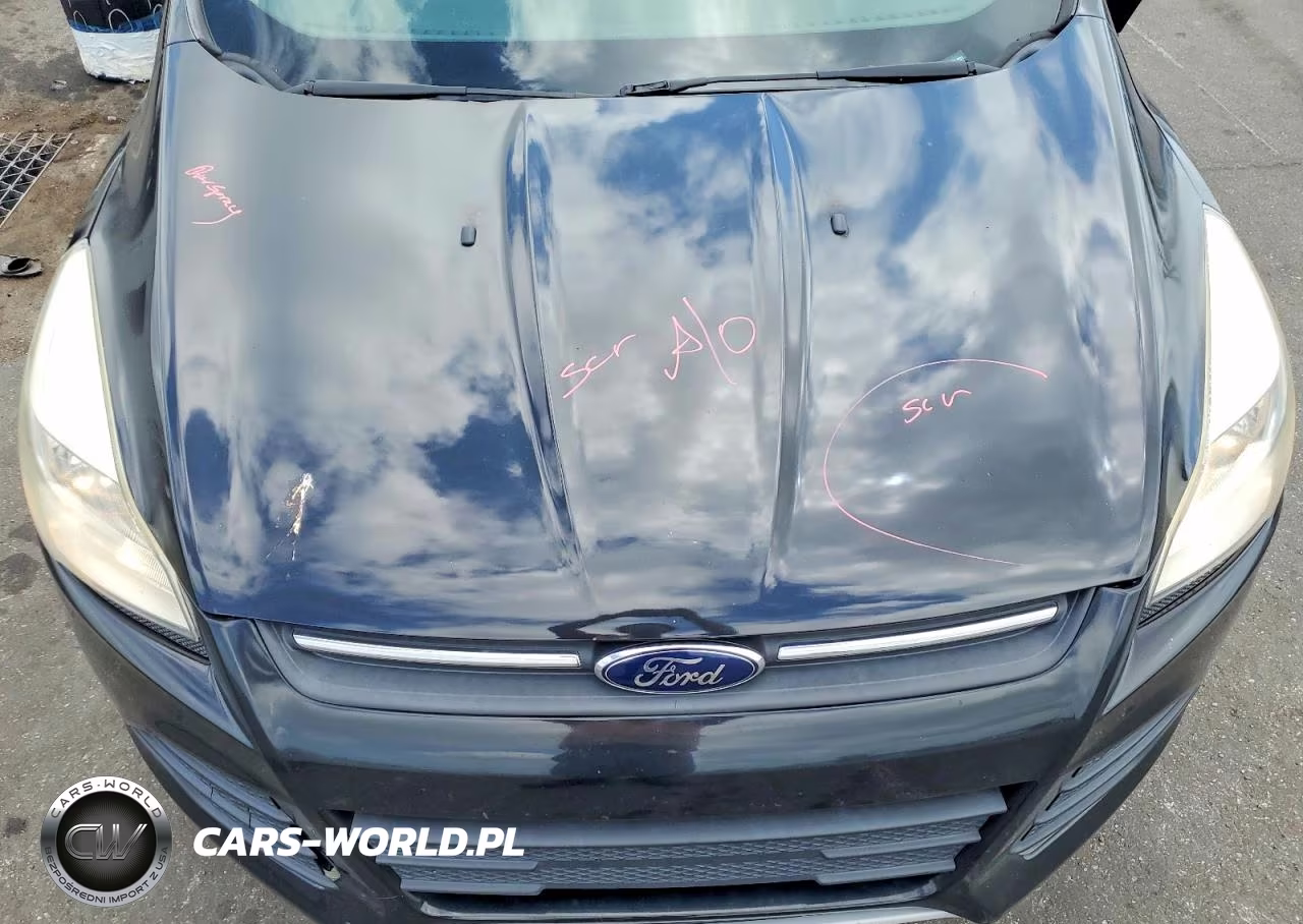 2014 Ford Escape Se VIN:1FMCU0GXXEUA79287 - 12
