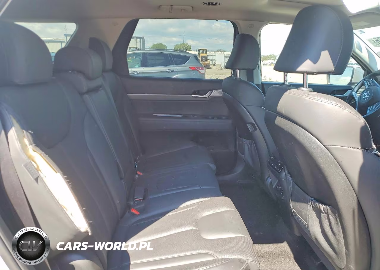2023 Hyundai Palisade Sel Premium VIN:KM8R4DGE0PU594320 - 11