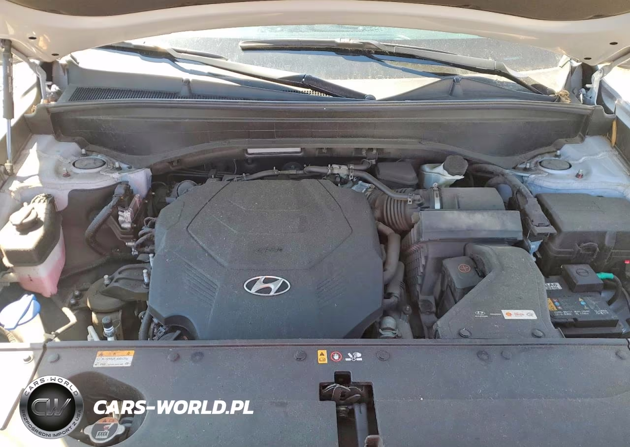 2023 Hyundai Palisade Sel Premium VIN:KM8R4DGE0PU594320 - 12