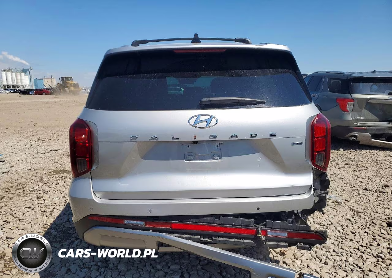 2023 Hyundai Palisade Sel Premium VIN:KM8R4DGE0PU594320 - 6