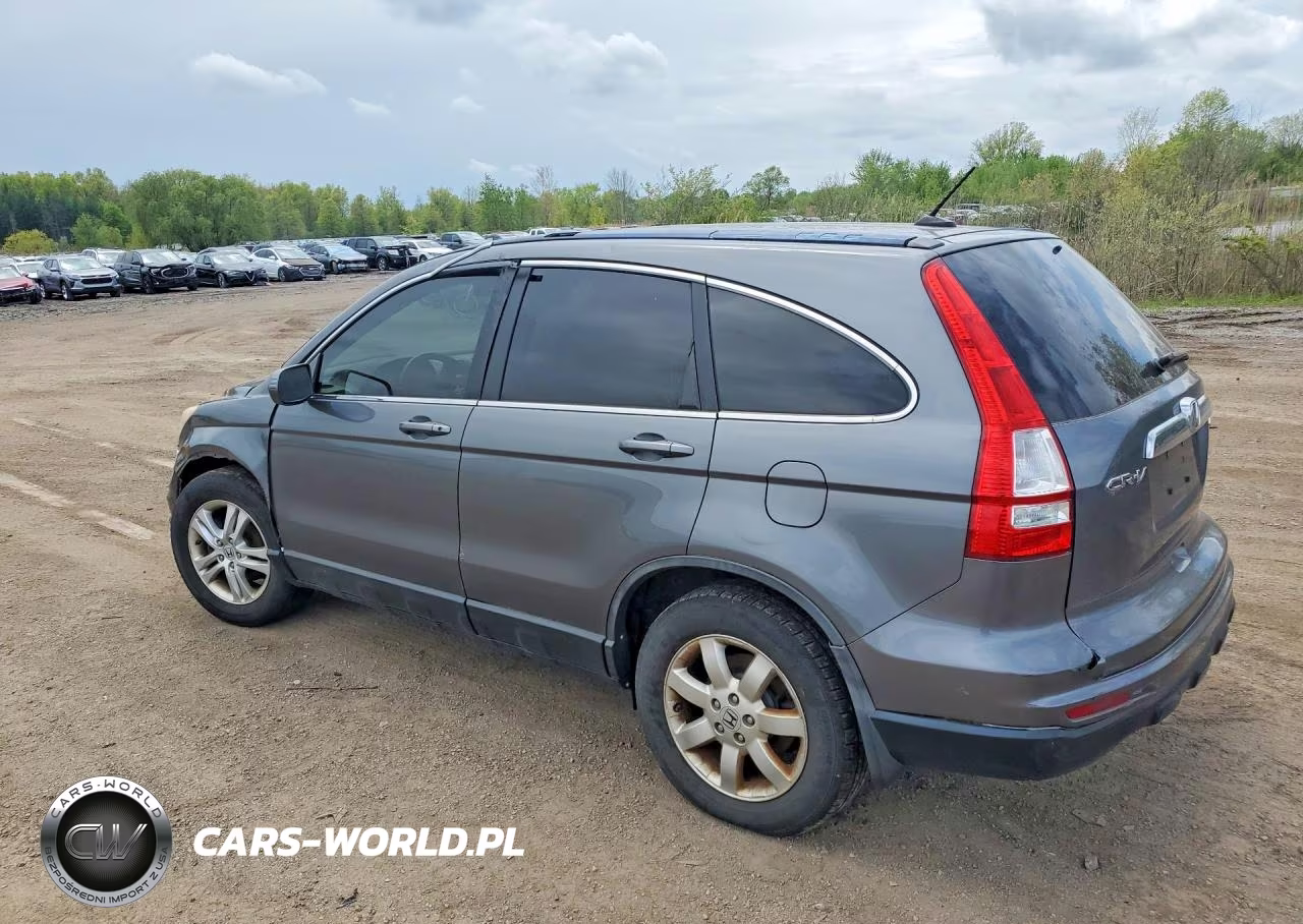 2010 Honda Cr-V Exl VIN:5J6RE4H70AL019157 - 2