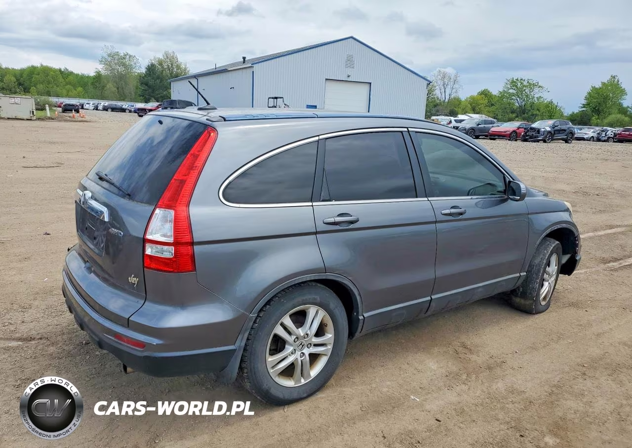 2010 Honda Cr-V Exl VIN:5J6RE4H70AL019157 - 3
