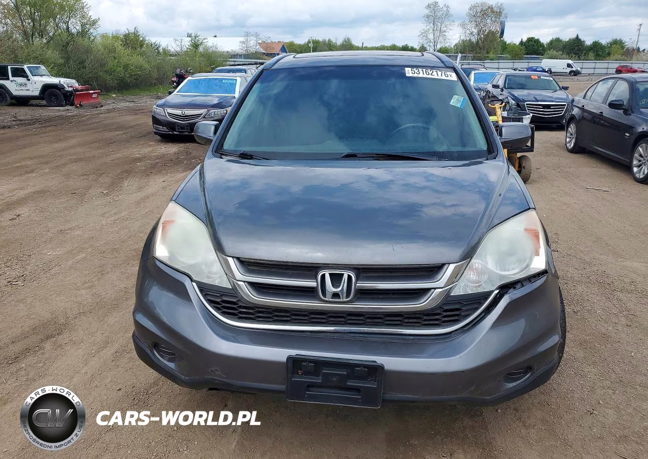 2010 Honda Cr-V Exl VIN:5J6RE4H70AL019157 - 5