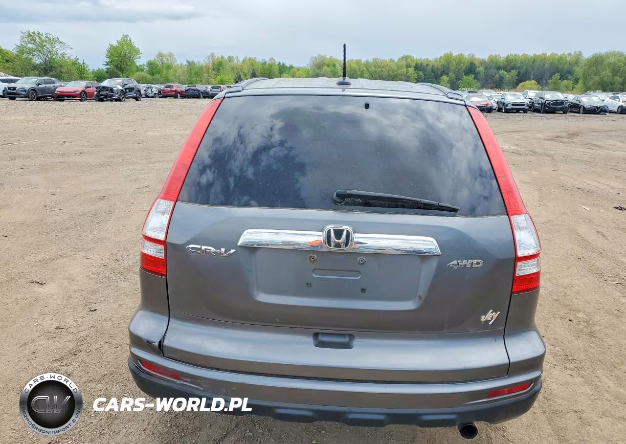 2010 Honda Cr-V Exl VIN:5J6RE4H70AL019157 - 6