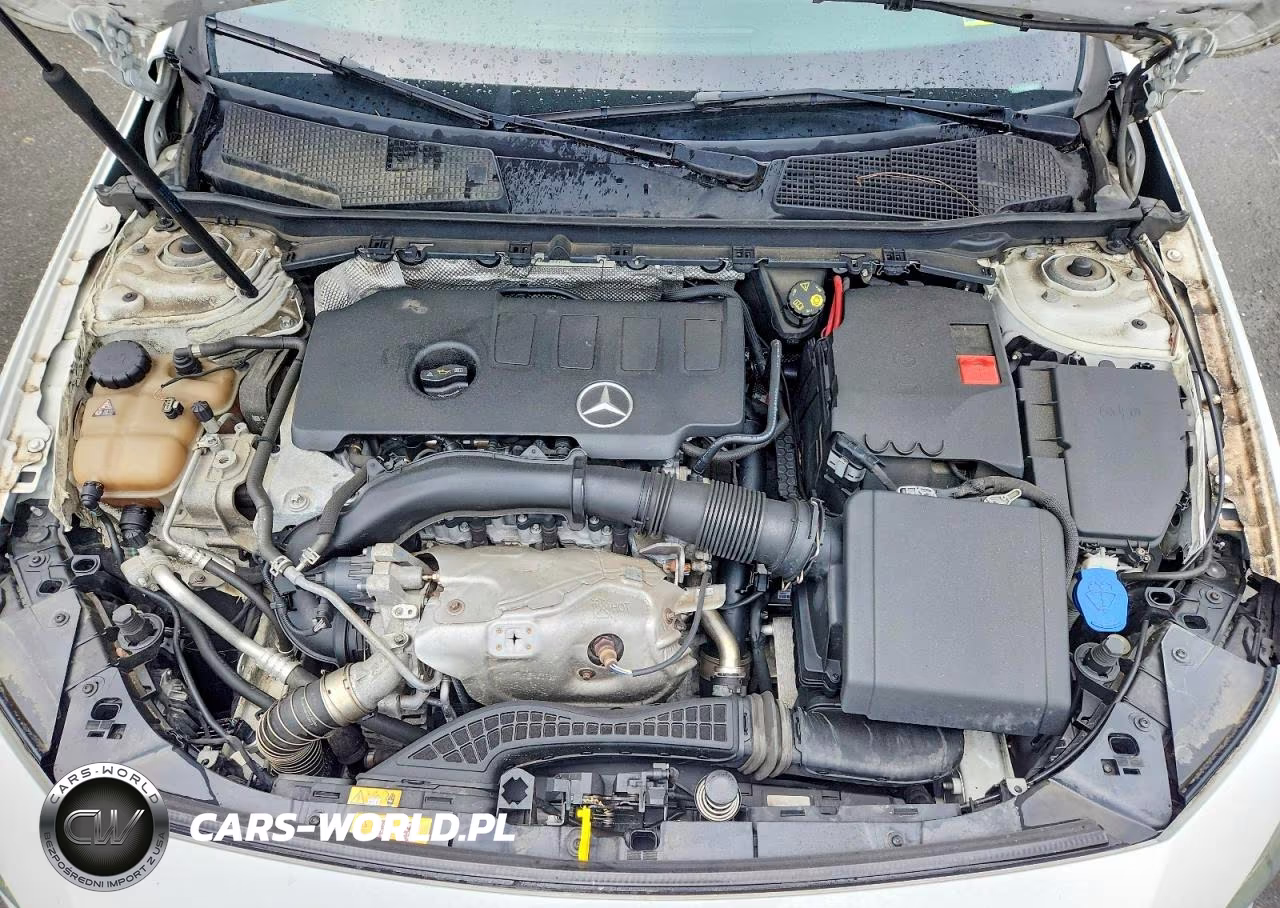 2019 Mercedes-Benz A 220 4Matic VIN:WDD3G4FB2KW031586 - 11