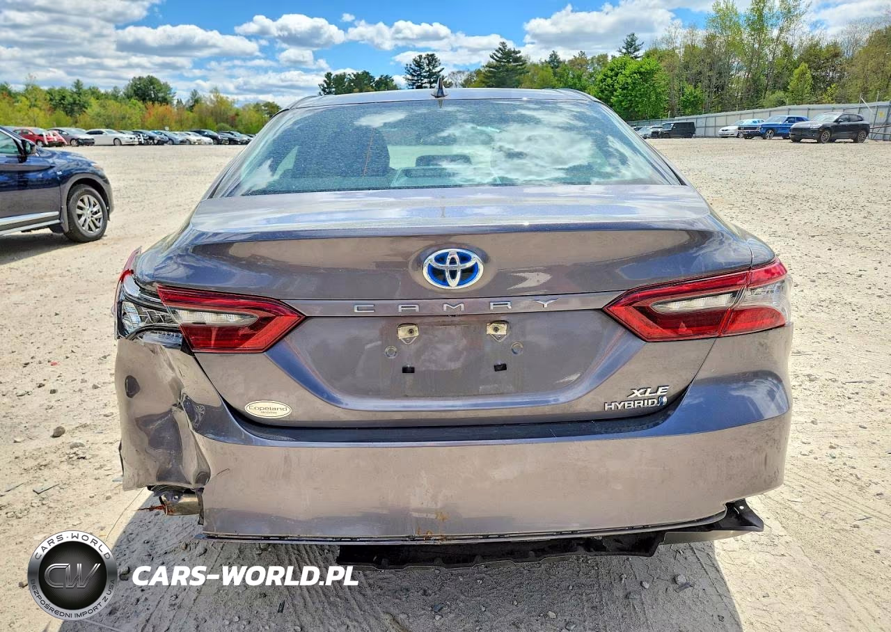 2023 Toyota Camry Xle VIN:4T1F31AKXPU604323 - 6