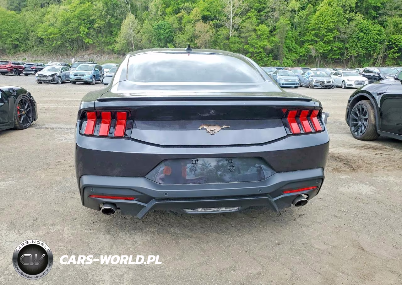 2024 Ford Mustang VIN:1FA6P8TH4R5117804 - 6