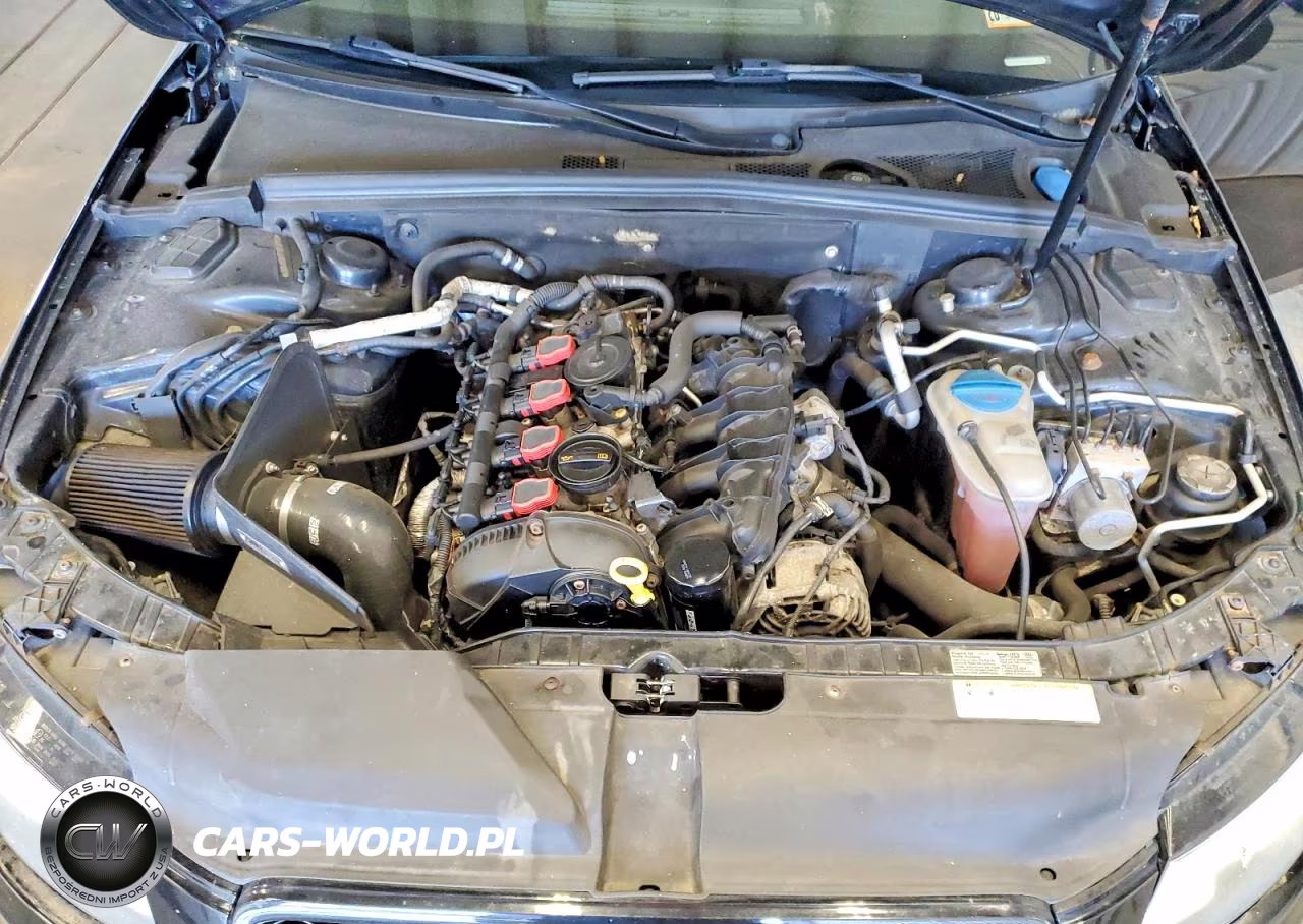 2010 Audi A4 Premium Plus VIN:WAUHFAFL0AN001787 - 11