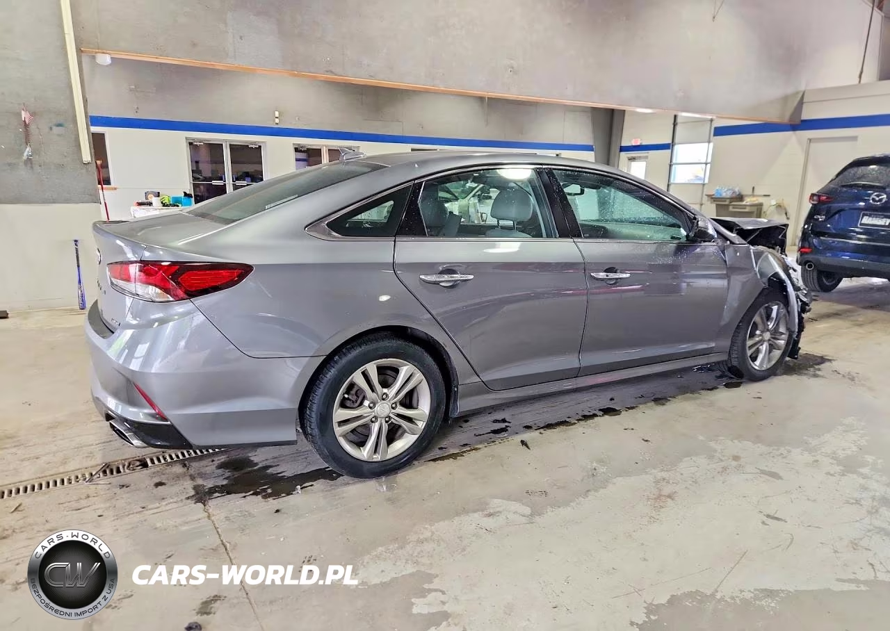 2019 Hyundai Sonata Limited VIN:5NPE34AF8KH816788 - 3