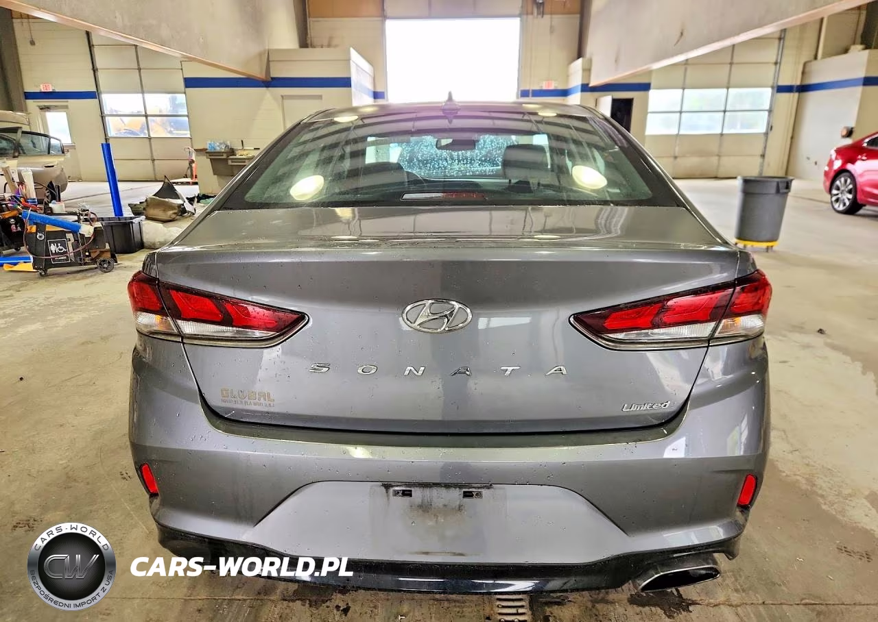 2019 Hyundai Sonata Limited VIN:5NPE34AF8KH816788 - 6