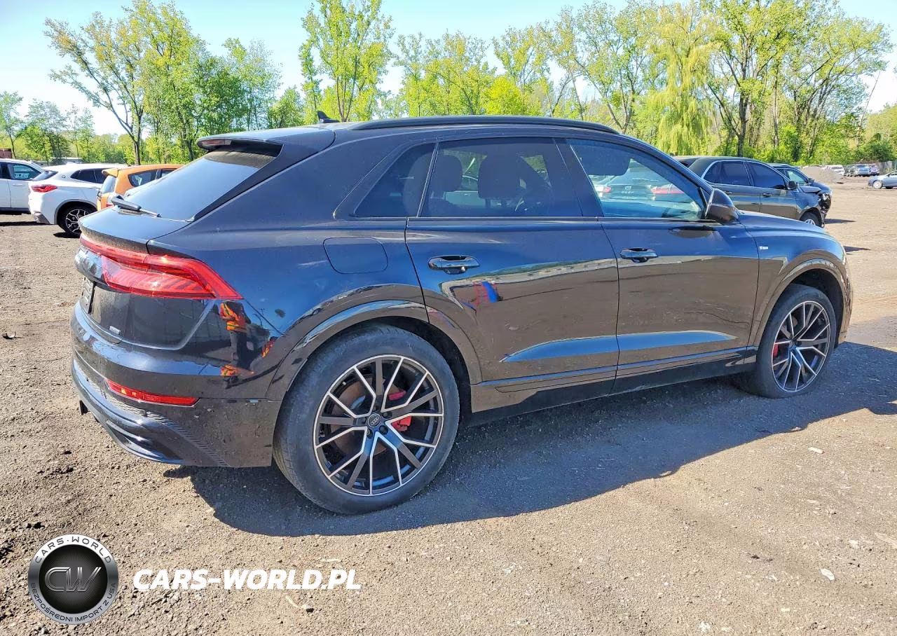 2019 Audi Q8 Premium Plus S-Line VIN:WA1EVAF13KD029494 - 3