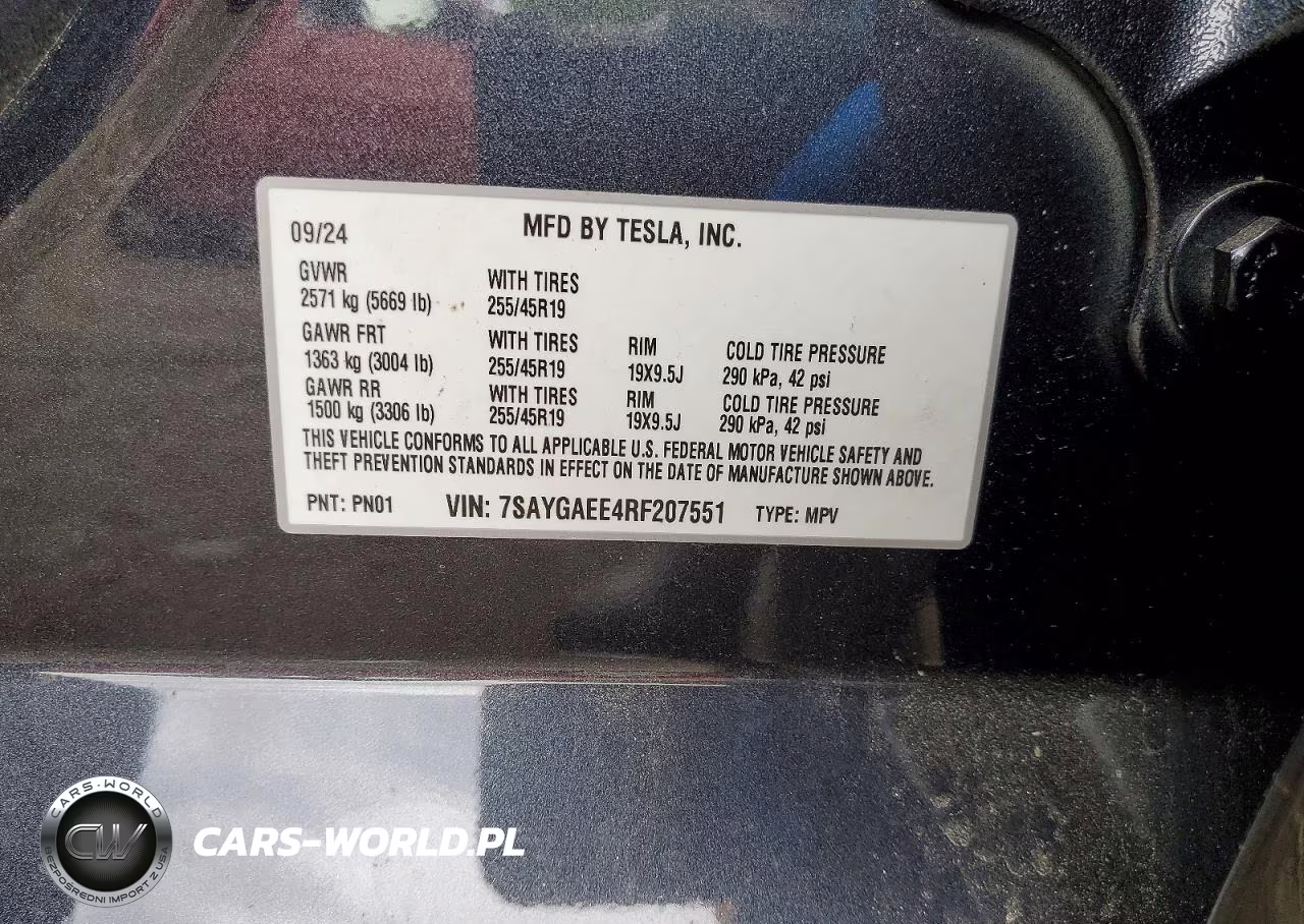 2024 Tesla Model Y VIN:7SAYGAEE4RF207551 - 12