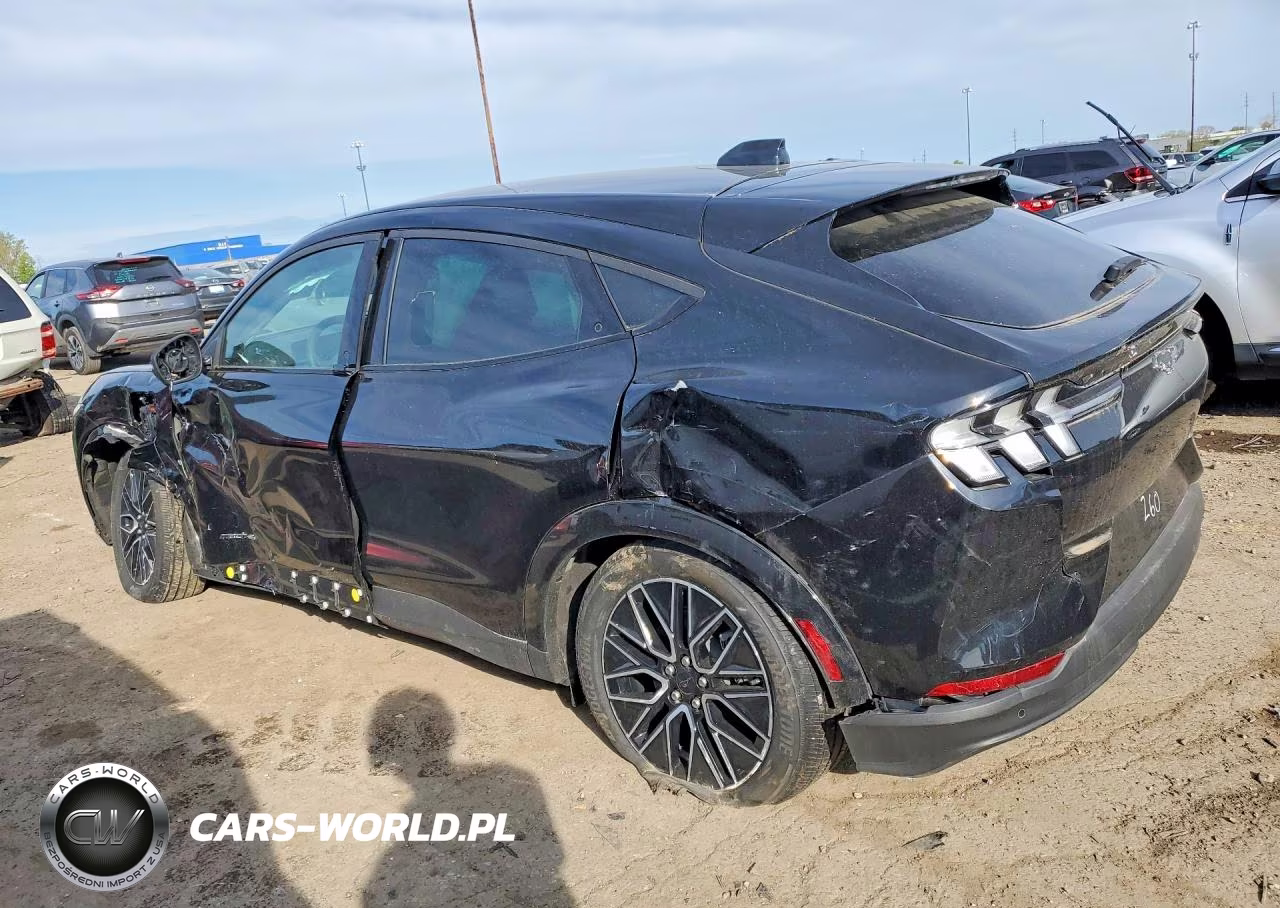 2025 Ford Mustang Mach-E Premium VIN:3FMTK3SUXSMA05260 - 2
