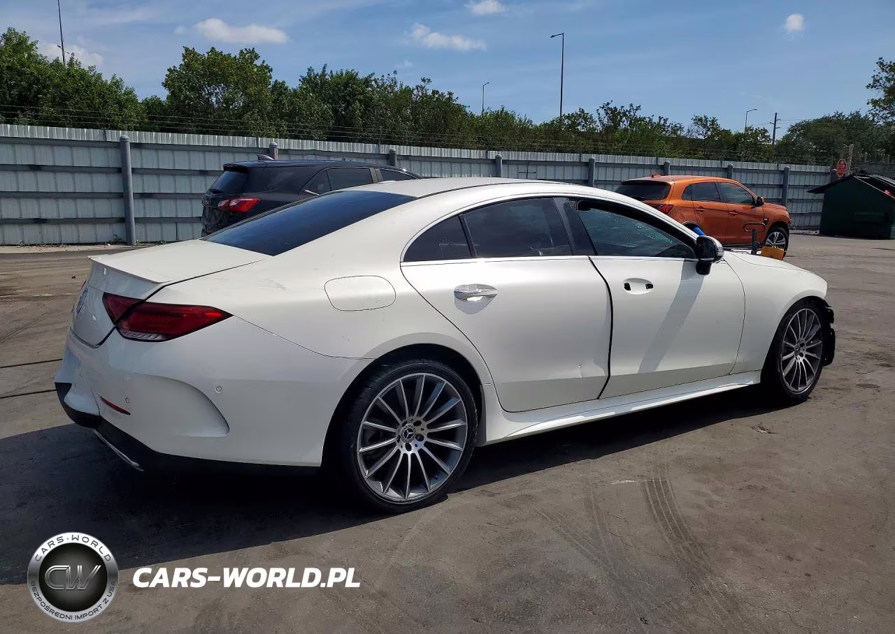 2019 Mercedes-Benz Cls 450 VIN:WDD2J5JB5KA033694 - 3
