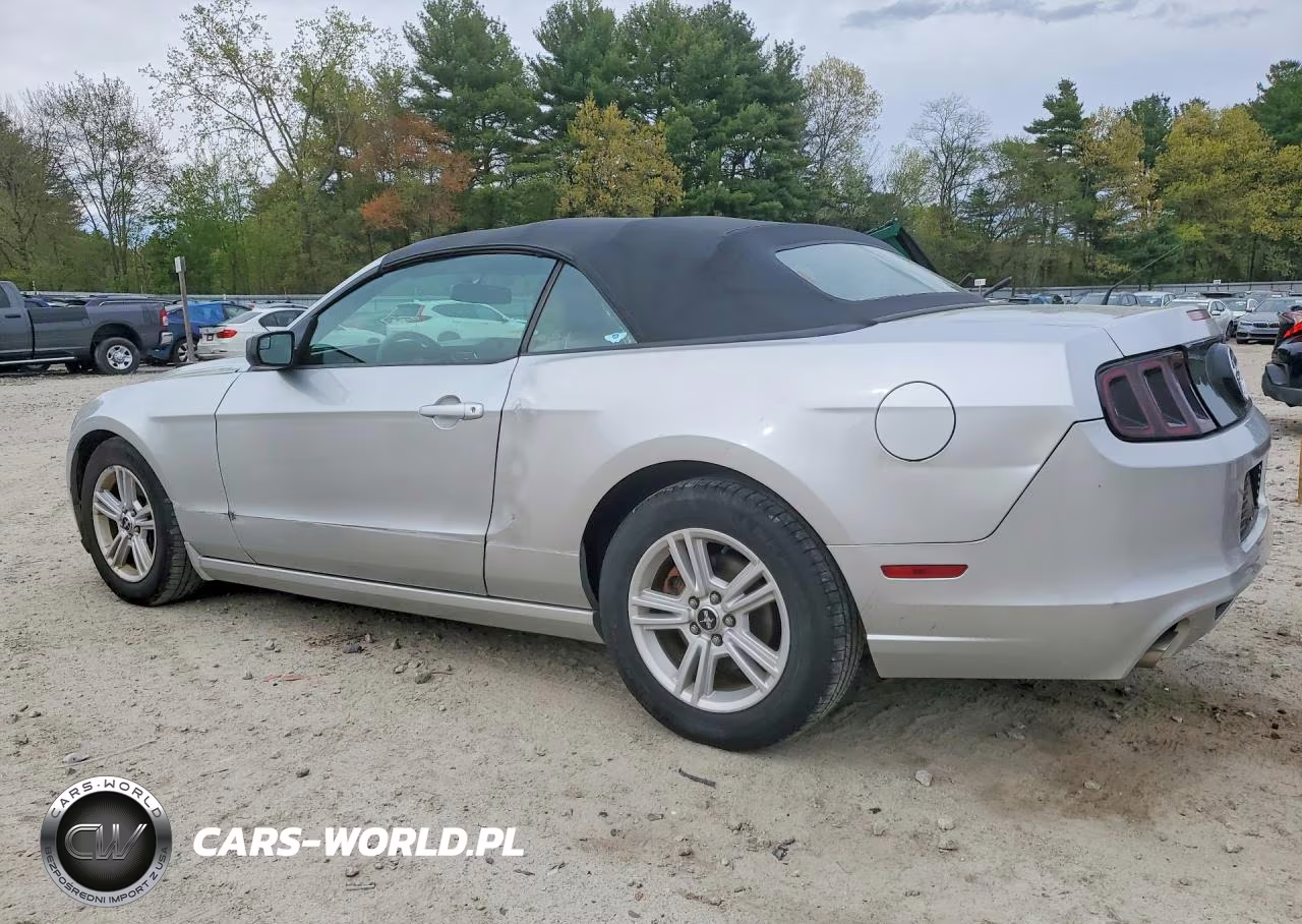 2014 Ford Mustang VIN:1ZVBP8EM8E5293099 - 2