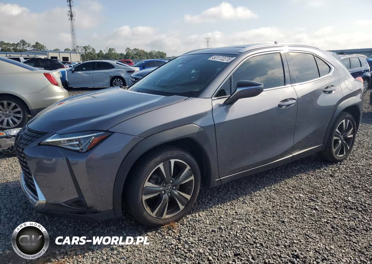 2019 Lexus Ux 200