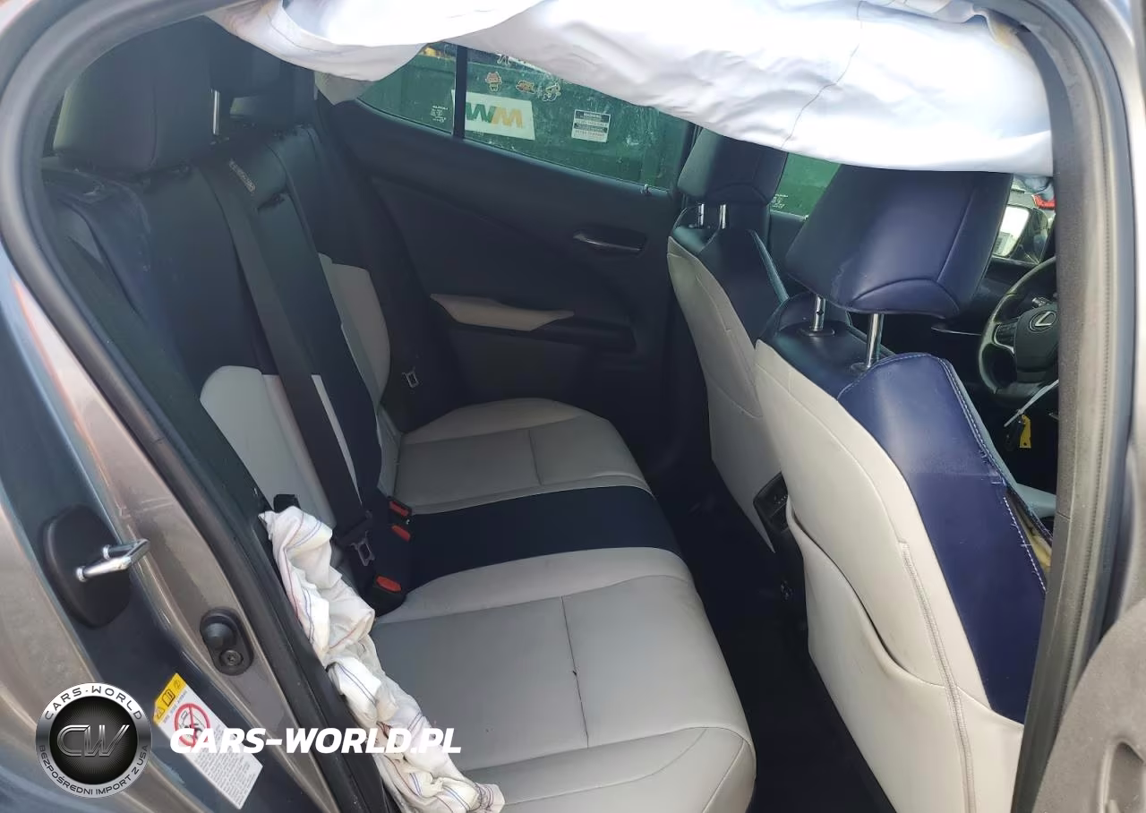 2019 Lexus Ux 200 VIN:JTHY3JBH3K2013432 - 11