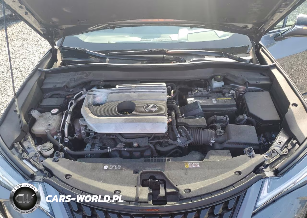 2019 Lexus Ux 200 VIN:JTHY3JBH3K2013432 - 12