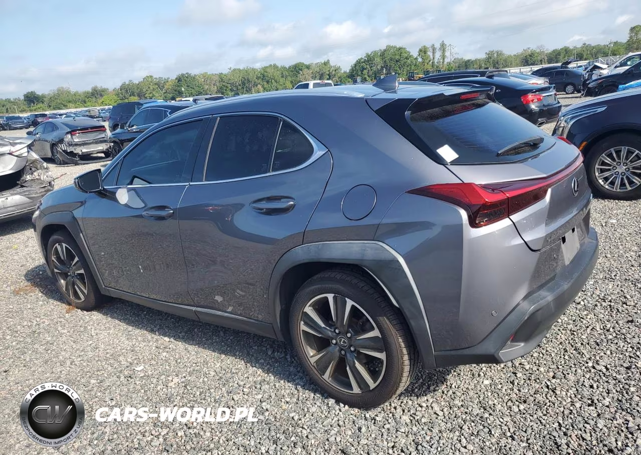 2019 Lexus Ux 200 VIN:JTHY3JBH3K2013432 - 2