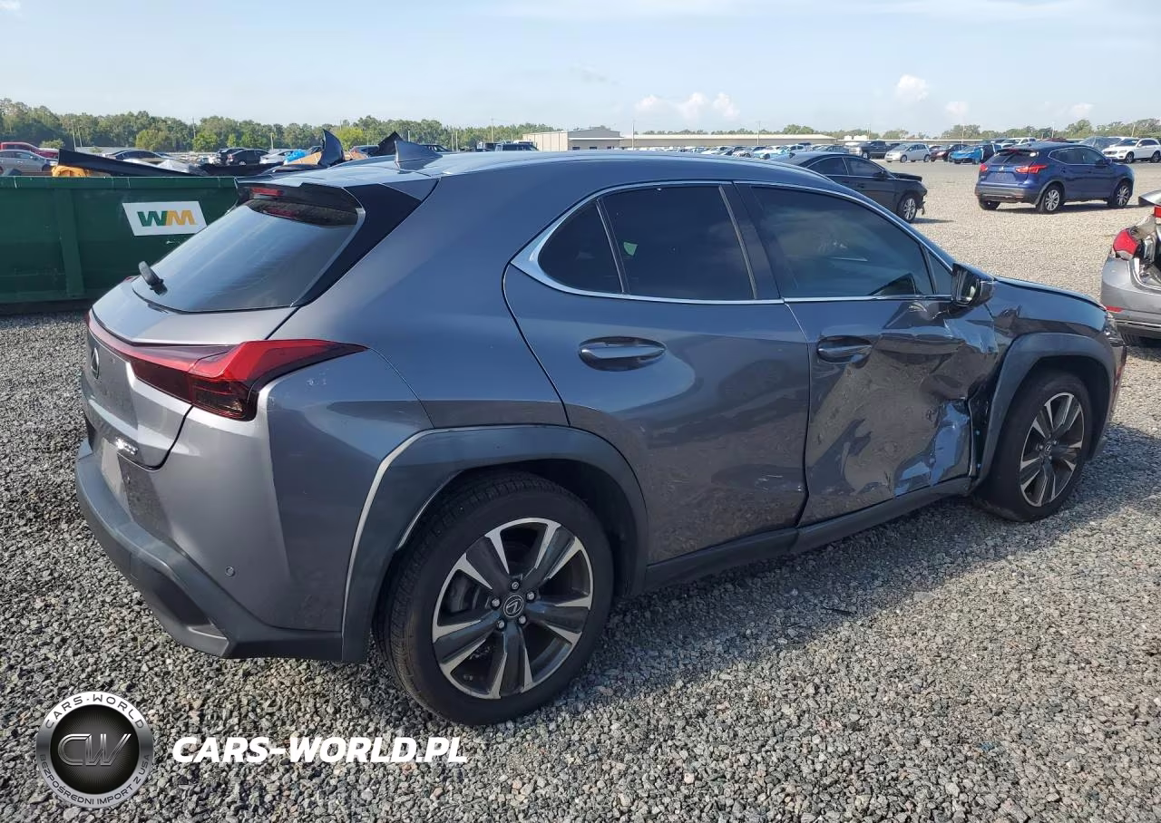 2019 Lexus Ux 200 VIN:JTHY3JBH3K2013432 - 3